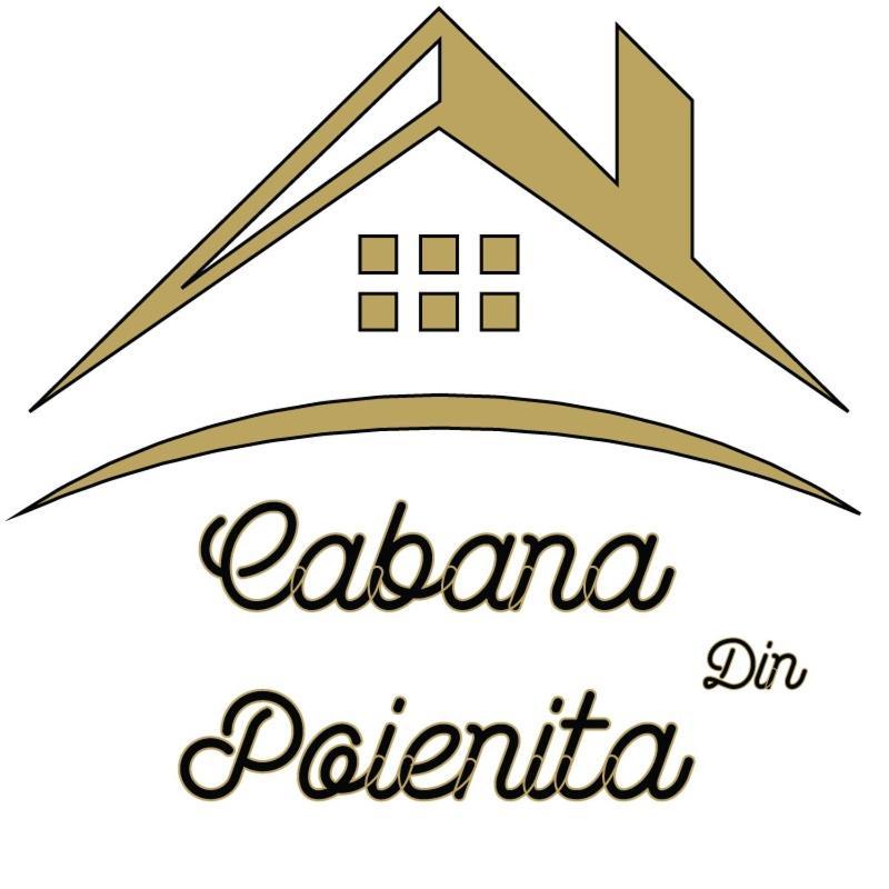 Cabana Din Poienita ポイアナ・ブラショフ エクステリア 写真